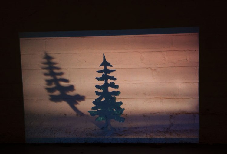 Fir Tree Small II, evening