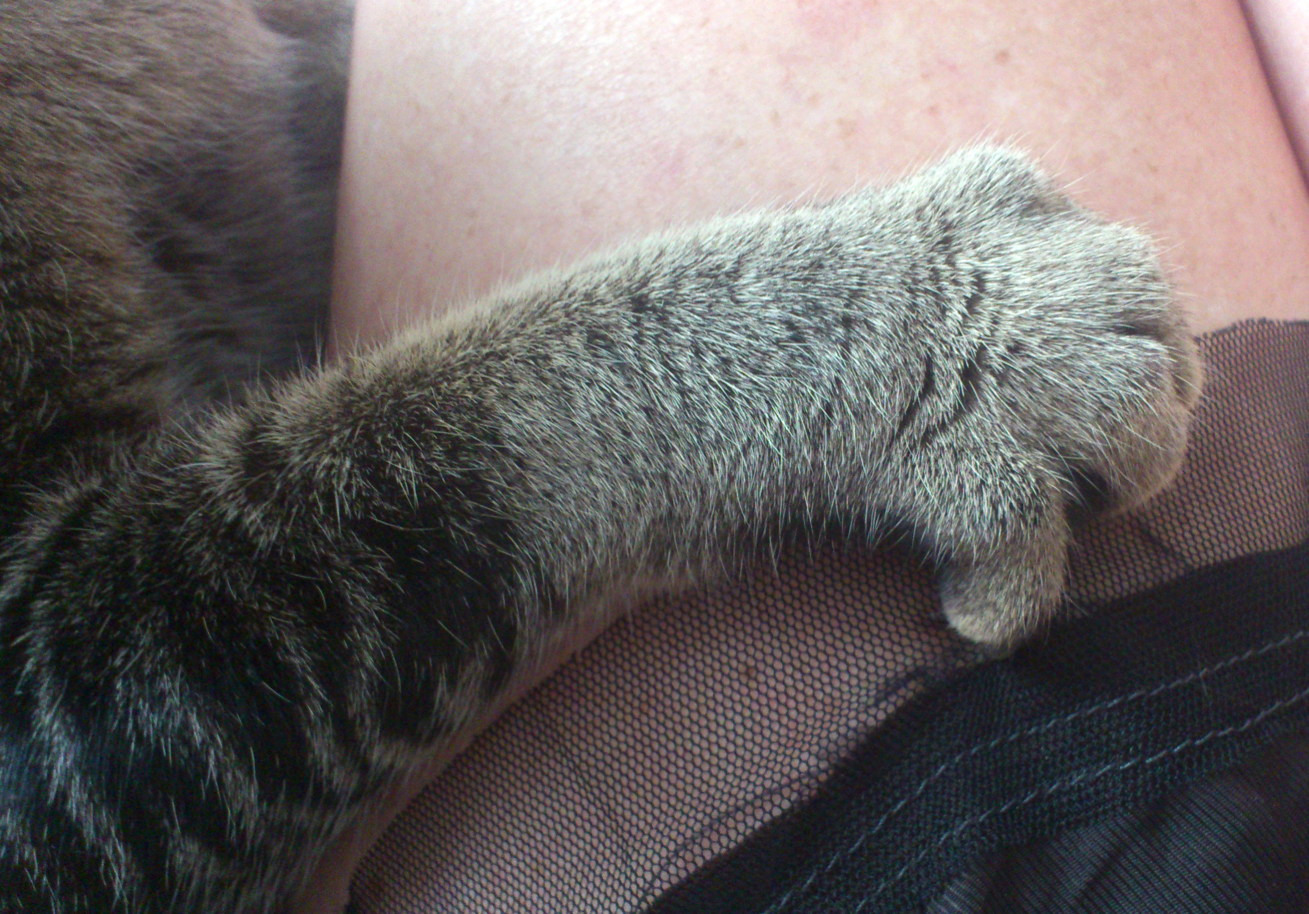 My Hand Knows The Shape Of Her 1