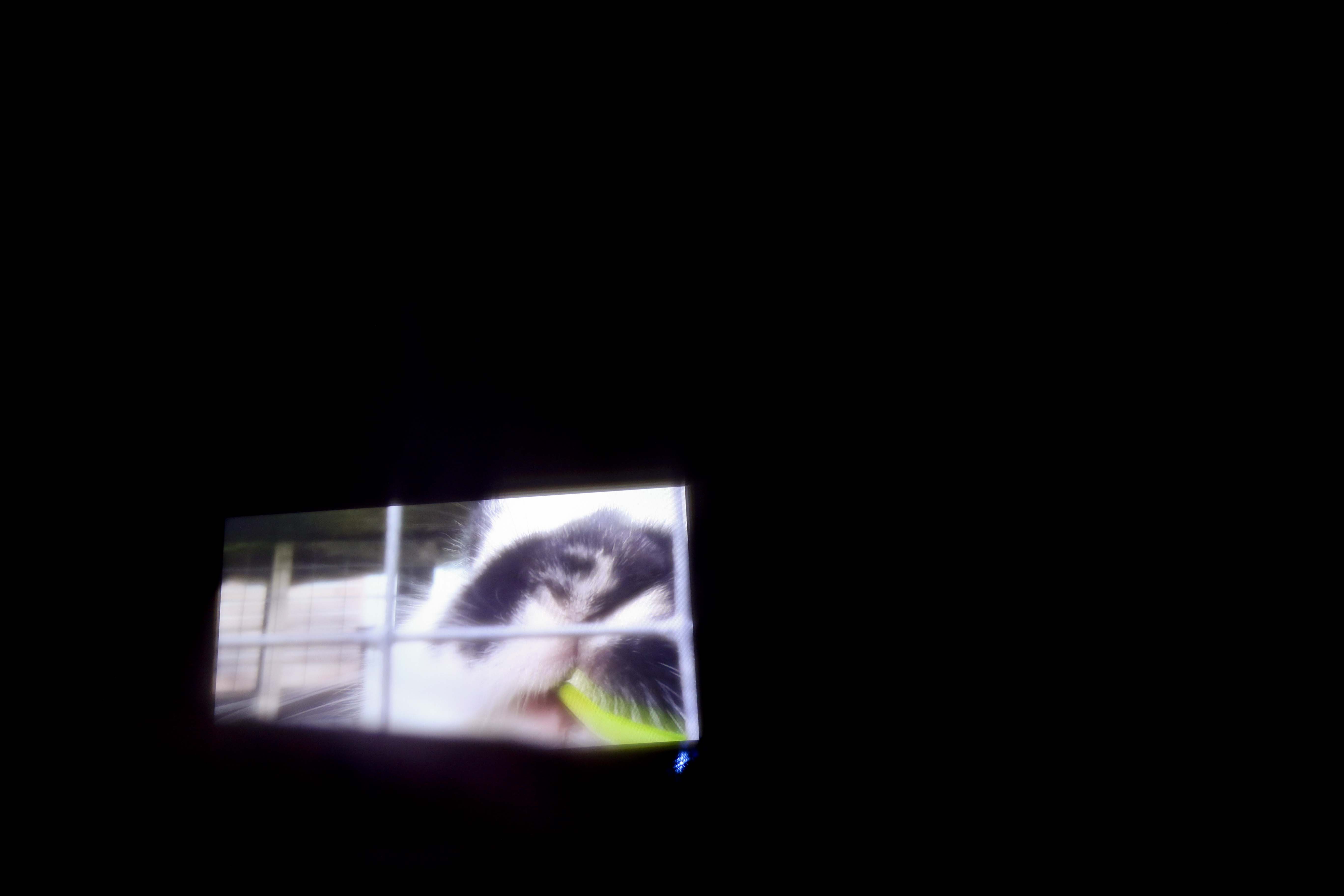 Veiw of video screen from tent